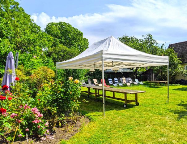 Garden with a tent set up